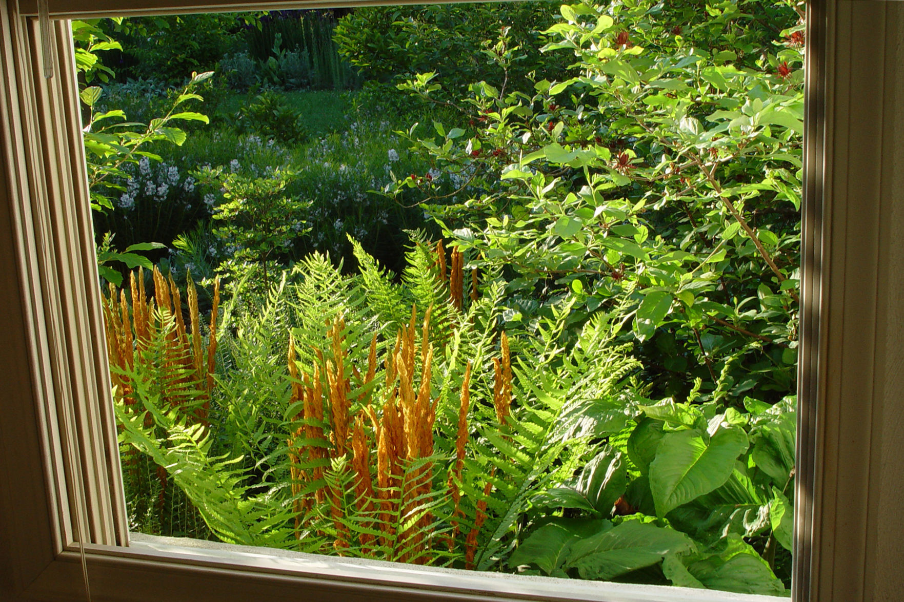 out window